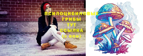 эйфоретик Белокуриха