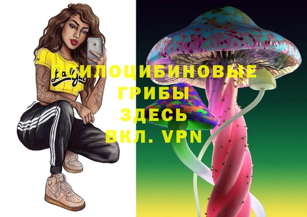 прущий лед Нефтекумск