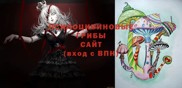 дурь Белоозёрский