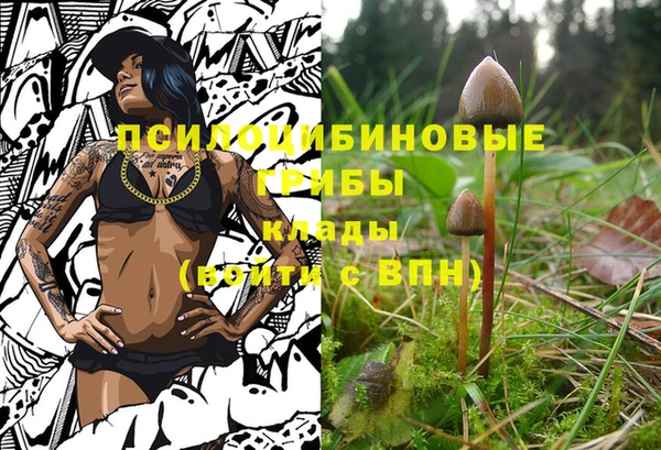 эйфоретик Белокуриха